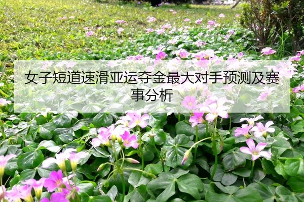img_1787756762450_715_1_320.jpg